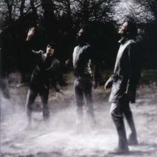 the album cover for White / Lichens - White/Lichens