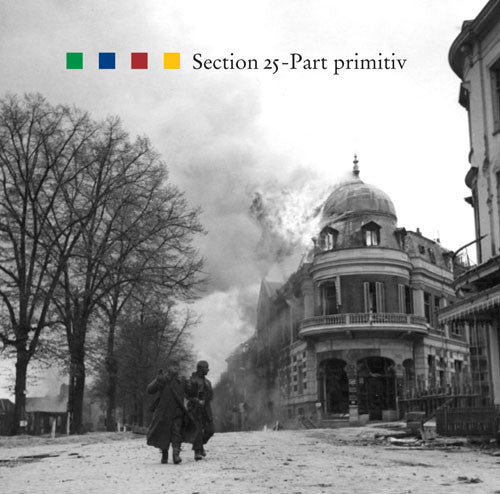the album cover for Section 25 - Part-Primitiv