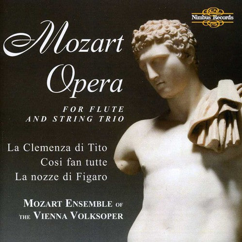 the album cover for Mozart Ensemble Of The Vienna Volksoper - Opera for Flute & Steing Trio