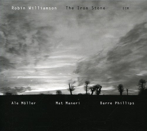 the album cover for Robin Williamson - Iron Stone [Import]