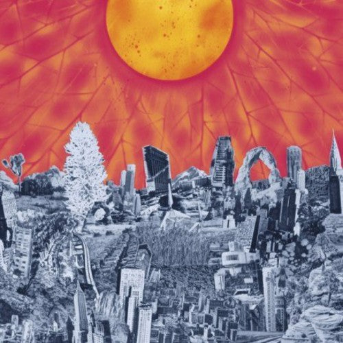 Mapmaker [LP] Vinyl Record