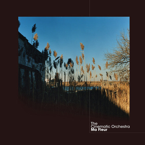 Cinematic Orchestra - Ma Fleur - Vinyl Record