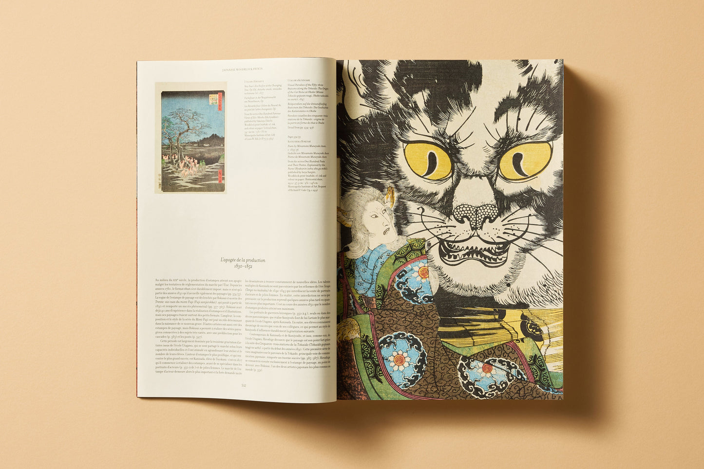 Japanese Woodblock Prints (German, French, English) Book