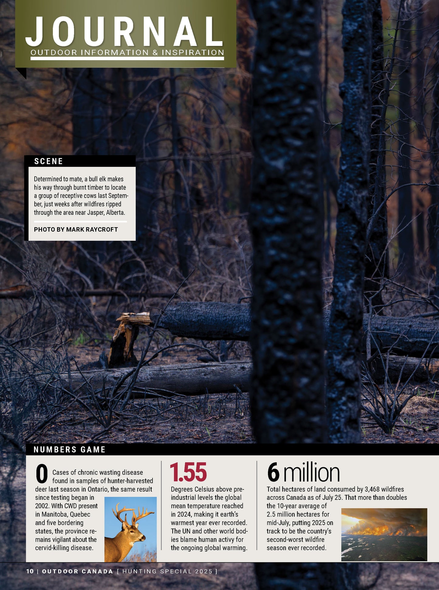 Outdoor Canada - Hunting Special 2025: Secret Buck Hideouts, Predator Hunts, Waterfowl Decoys, Air Rifle Hunting Guide, Overcome Fear Of The Dark, Expert Hunting Strategies For Success & More!