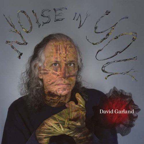 Garland,david - Noise In You - Music CD