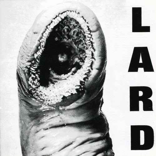 Power of Lard [EP] [EP] Music CD