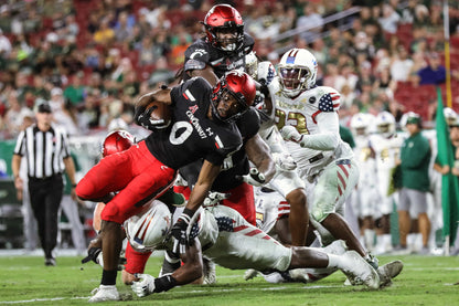 Breaking Down Barriers: How the Cincinnati Bearcats Crashed the College Football Playoff Party Book