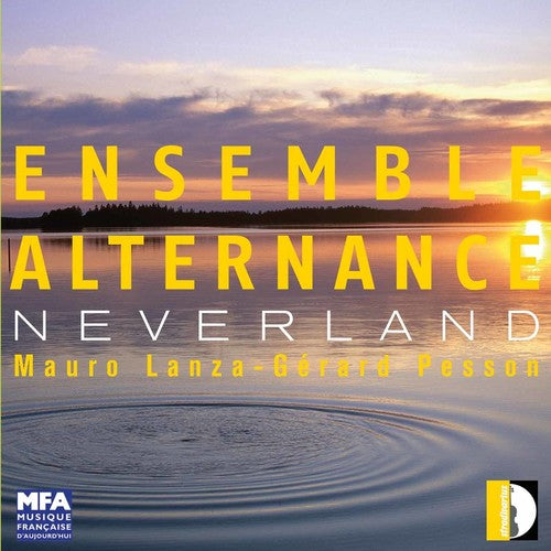 the album cover for Robert HP Platz - Neverland