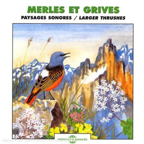 Echoes Of Nature - Larger Thrushes - Music CD