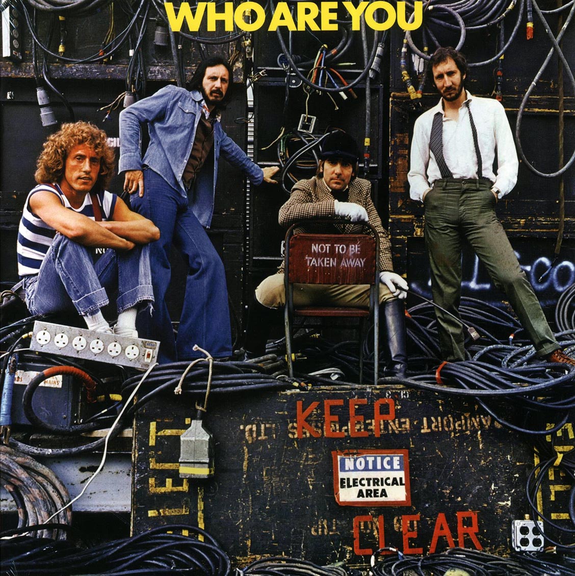 The Who Who Are You 180g Vinyl Record