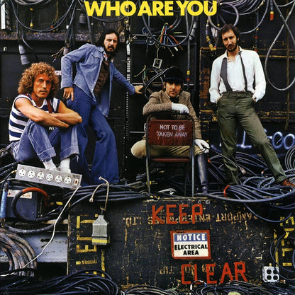 The Who Who Are You 180g Vinyl Record