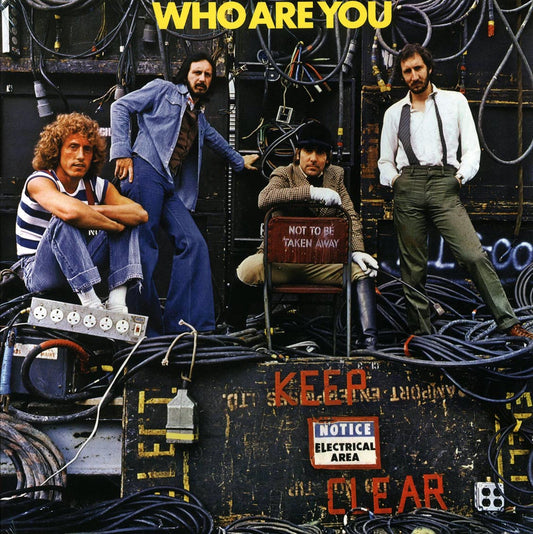 The Who Who Are You 180g Vinyl Record