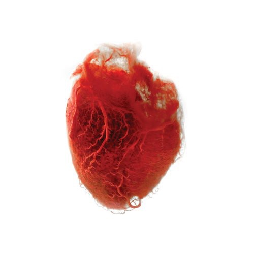 Akron/Family - Love Is Simple Vinyl Record