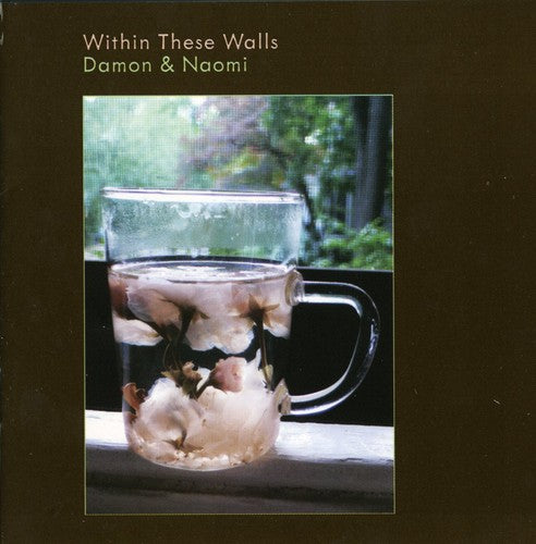 Damon & Naomi - Within These Walls - Music CD