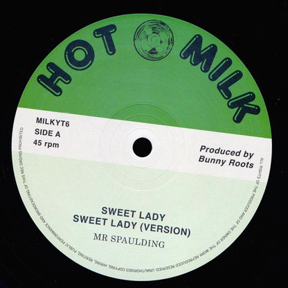 Mr. Spaulding - Sweet Lady; Roots Radics - Version  /  Mr. Spaulding - Vision; Roots Radics - Version 12" Vinyl Record