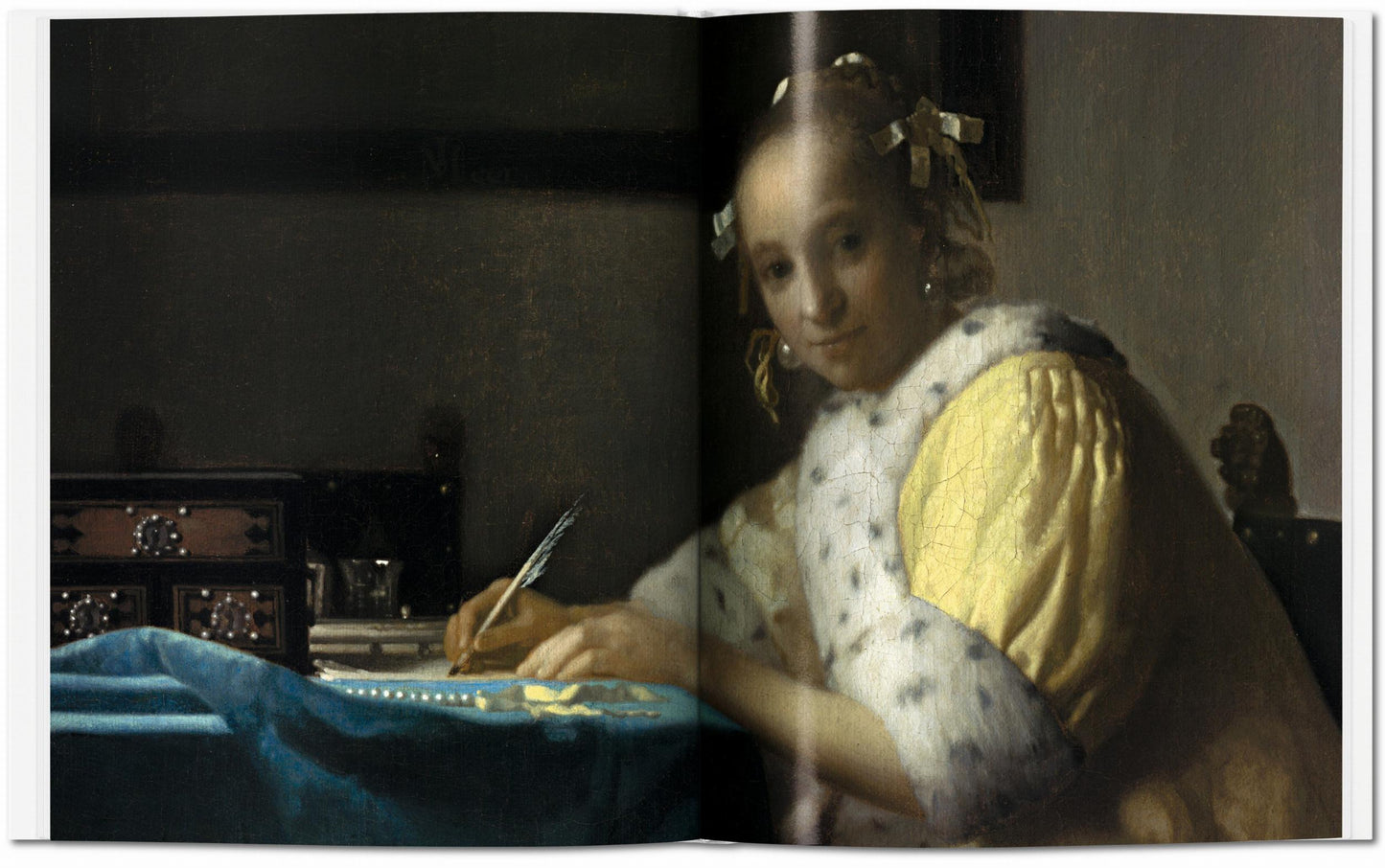 Vermeer (English) Book