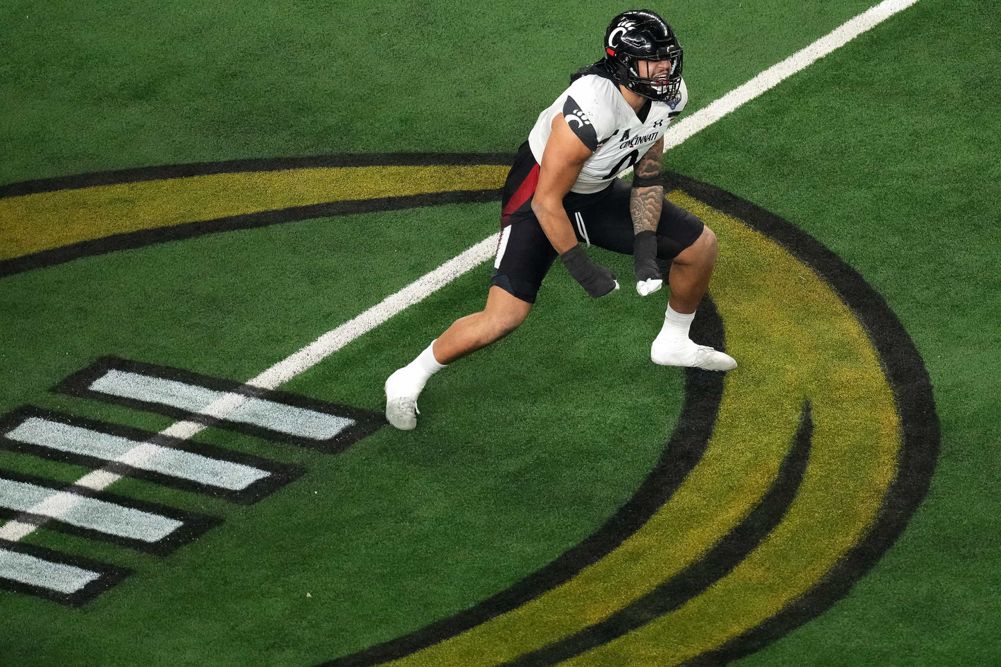 Breaking Down Barriers: How the Cincinnati Bearcats Crashed the College Football Playoff Party Book