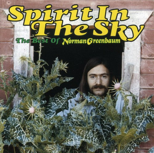 the album cover for Norman Greenbaum - Spirit in the Sky: Best of