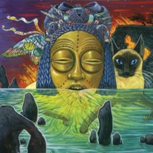 the album cover for Valet - Naked Acid