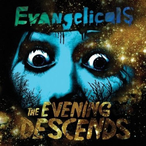The Evening Descends [LP] Vinyl Record