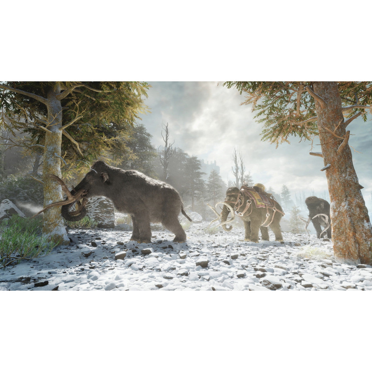 Studio Wildcard - ARK: Survival Ascended - PS5