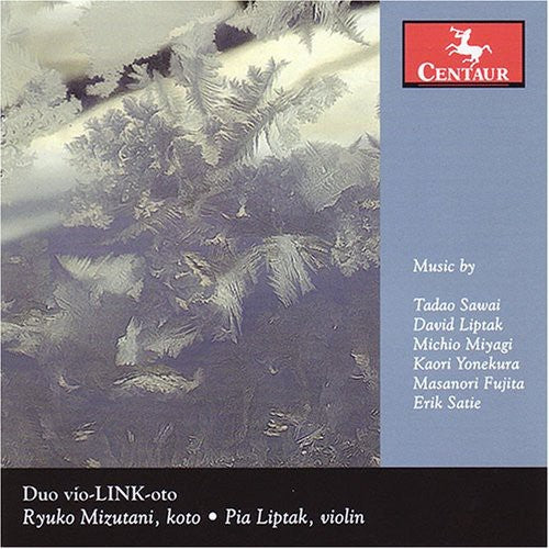 Sawazi / Liptak / Miyagi / Yonekura / Fujita - Nakisuna-yo / Ice Flowers - Music CD