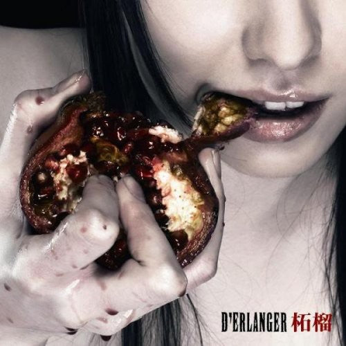 Dlerlanger - Zakuro - Music CD
