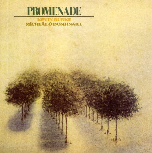the album cover for Burke/Odomhnaill - Promenade