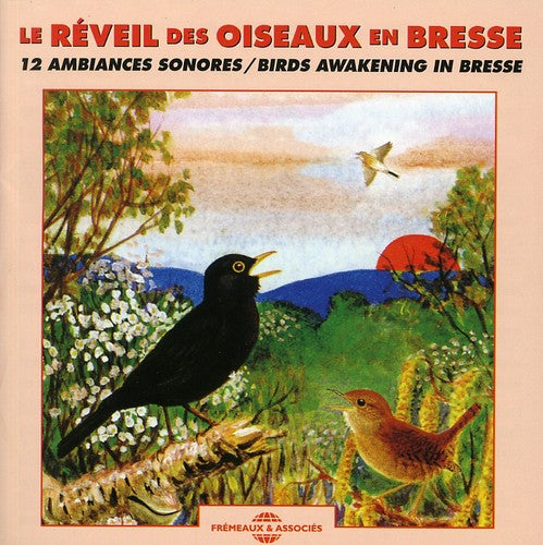the album cover for Oiseaux - Birds Awakening In Bresse