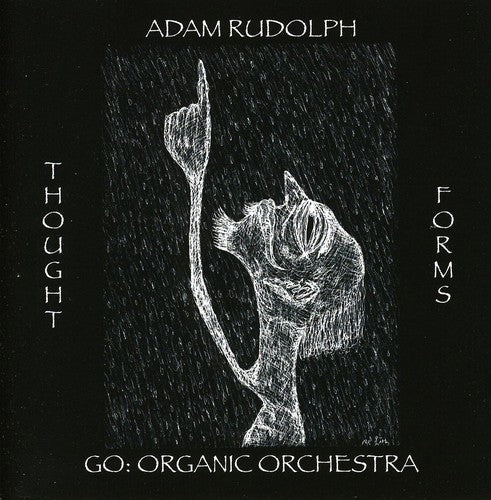Rudolph,adam - Thought Forms-go: Organic Orchestra - Music CD