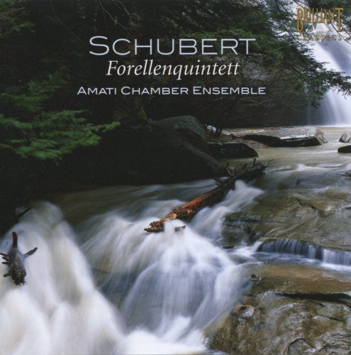 Schubert / Amati Chamber Ensemble - Forellenquintet - Music CD