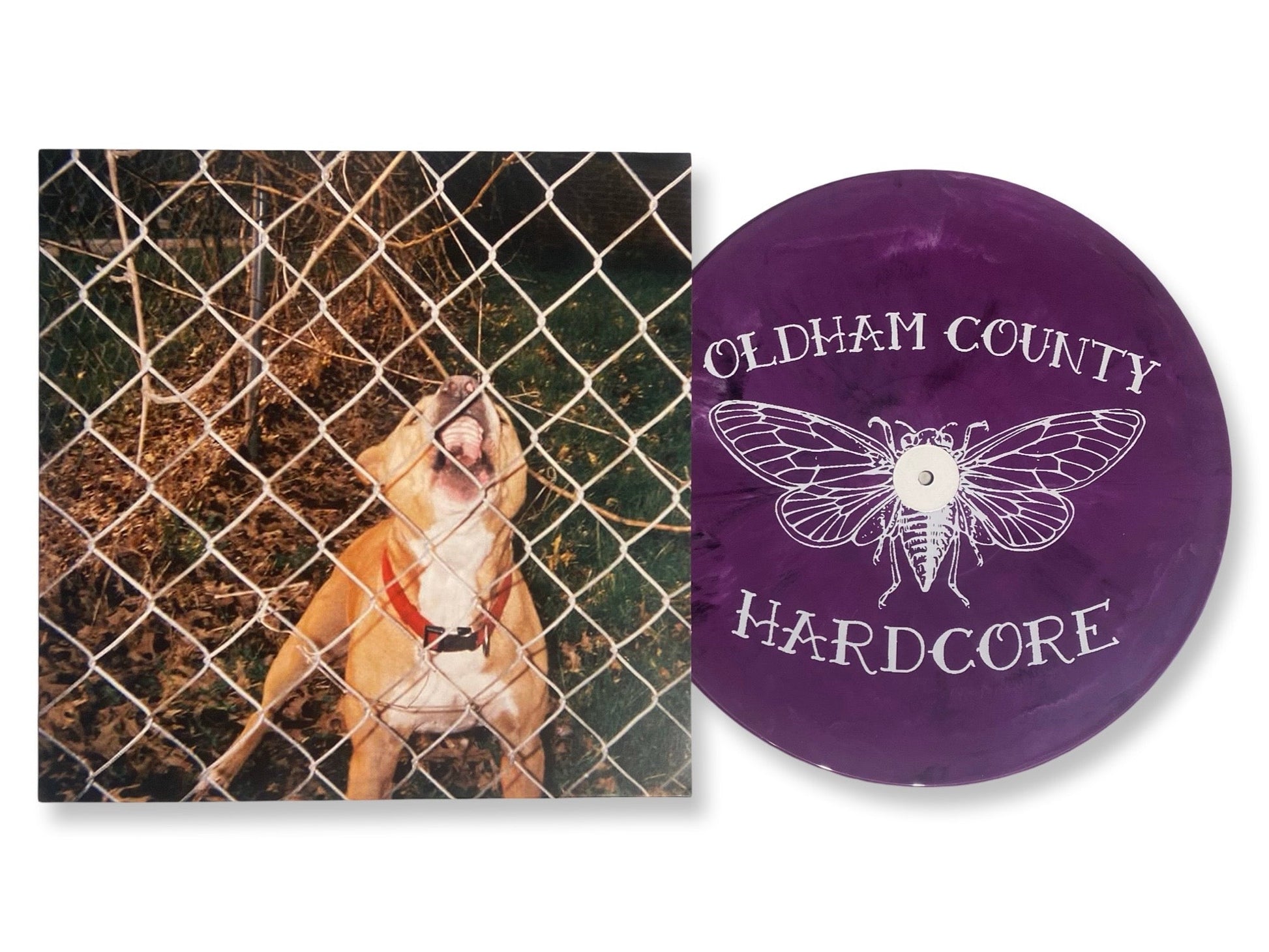 Knocked Loose - Pop Culture (Limited Edition Etched Purple Colored Vinyl) Vinyl Record