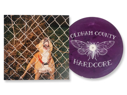 Knocked Loose - Pop Culture (Limited Edition Etched Purple Colored Vinyl) Vinyl Record