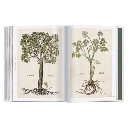 Leonhart Fuchs. The New Herbal (German, French, English) Book
