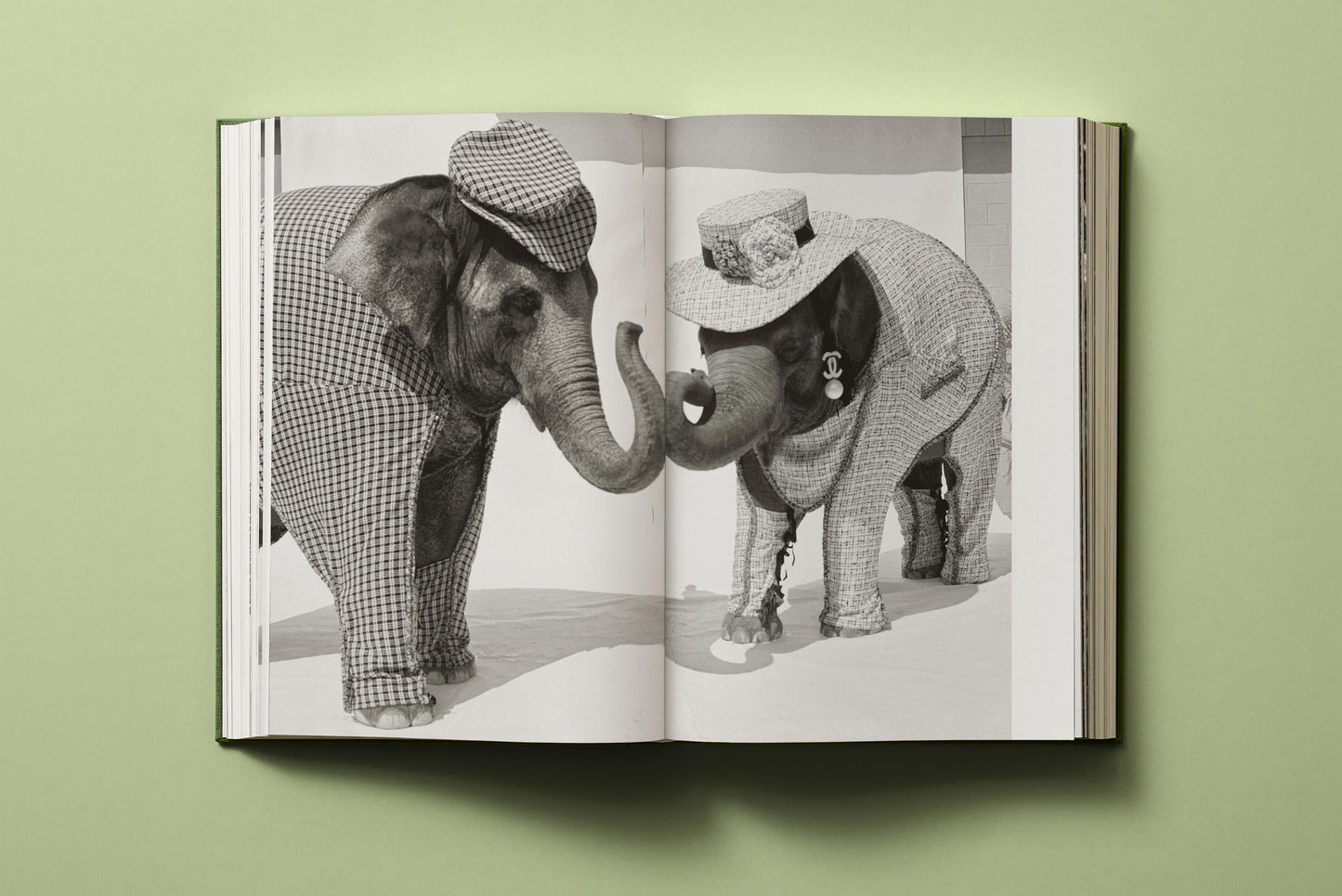 Bruce Weber. My Education (German, French, English) Book