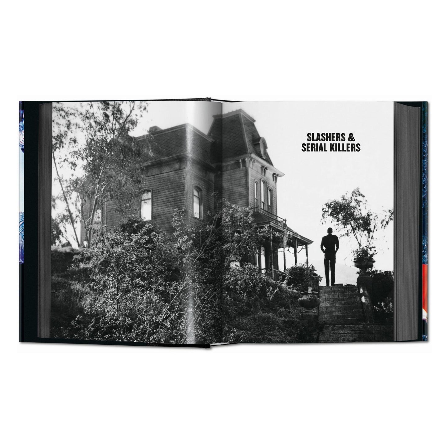 Horror Cinema (English) Book
