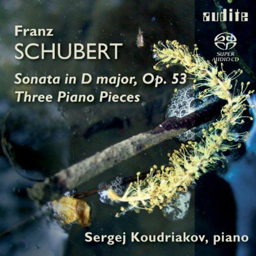 the album cover for Schubert / Koudriakov - Three Piano Pieces
