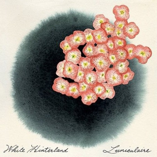 White Hinterland - Luniculaire - Music CD