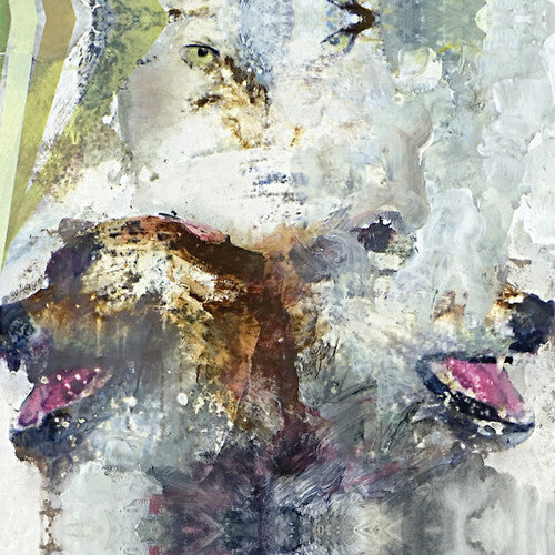 the album cover for These Arms Are Snakes - Tail Swallower and Dove