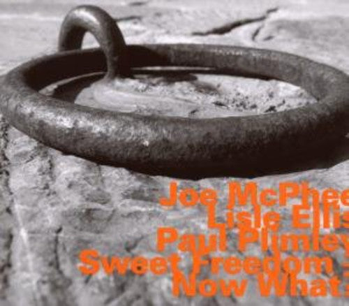 Mcphee,joe - Now What - Music CD