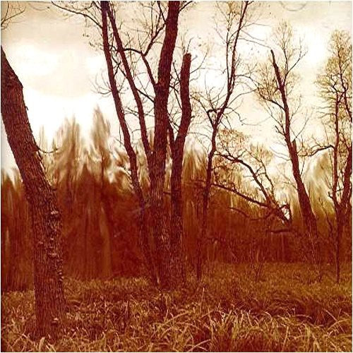 Northwoods Improvisers - Branches - Music CD