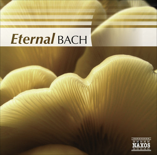 Eternal Bach / Various - Eternal Bach / Various - Music CD