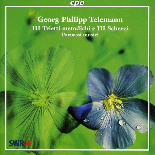 Telemann / Parnassi Musici - Ill Trietti Metodichi E Ill Scherzi - Music CD