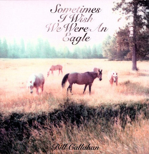 Bill Callahan - Sometimes I Wish We Were An Eagle Vinyl Record
