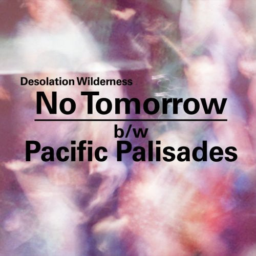 Desolation Wilderness - No Tomorrow / Pacific Palisades - Vinyl Record