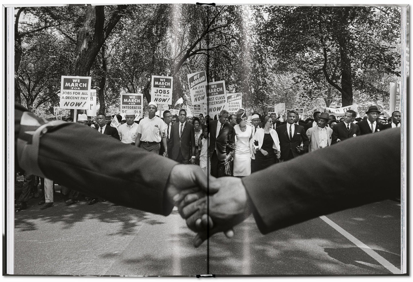 James Baldwin. Steve Schapiro. The Fire Next Time (English) Book