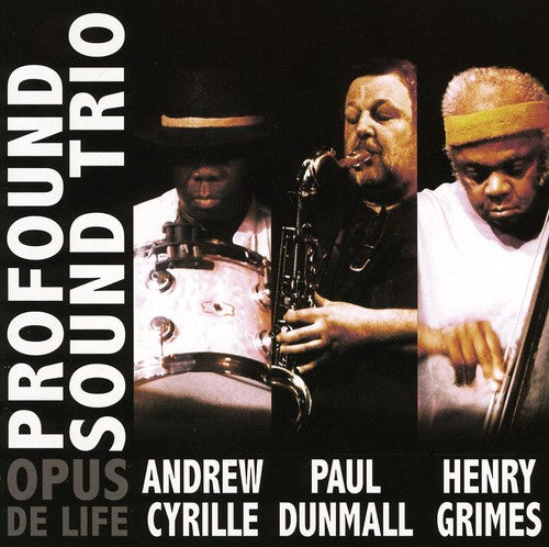 the album cover for Profound Sound Trio - Opus de Life