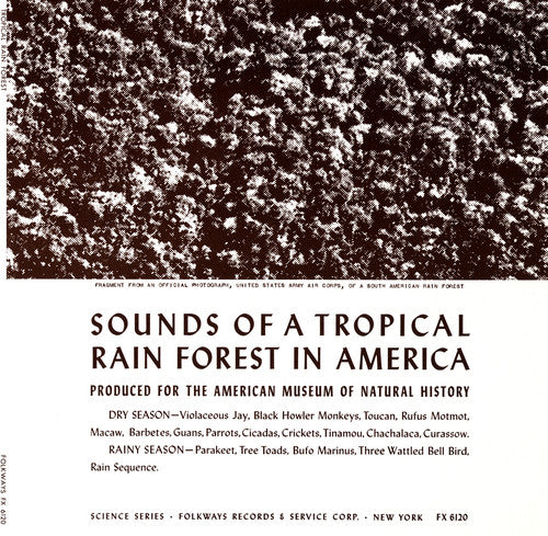 Tropical Rain Forest / Var - Tropical Rain Forest / Var - Music CD