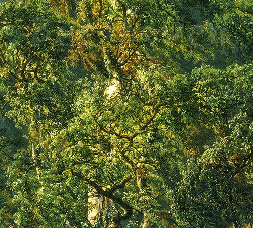 the album cover for L.V. Beethoven - Sonatas for Fortepiano & Cello