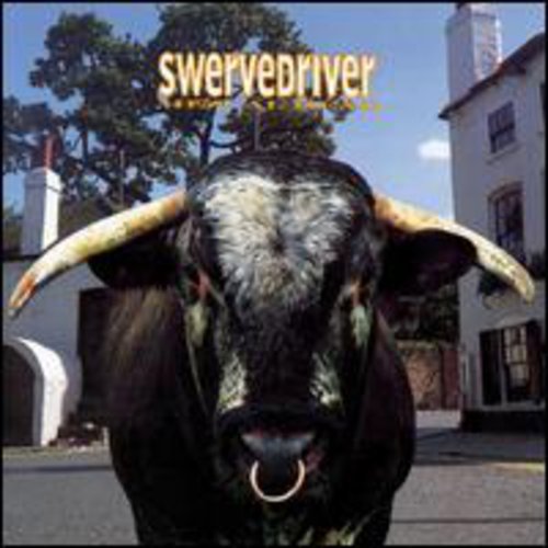 the album cover for Swervedriver - Mezcal Head